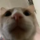 Pulps Stream/Friends Server