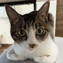 ShackCord Discord server icon