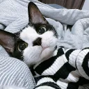 Definitely VC XIII's icon