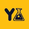 Yellow Lab Games