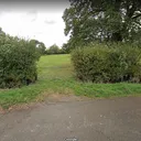 Jack's Wee Wee Bush
