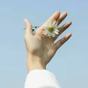 ✦Eden✦