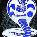electric_COBRA Discord Server Icon