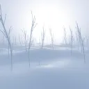 Breaking Winter
