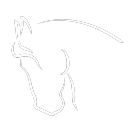 Legacy: The Horse Game