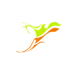 Hayya Sport Official