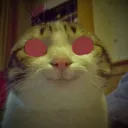 Madcat | Chat