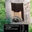 The Raccoon Shop