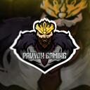Pavyon Gaming Discord Server Icon