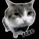 𝐹𝑜𝑘𝑜 𝐹𝑒𝑑𝑒𝑟𝑎𝑡𝑖𝑜𝑛