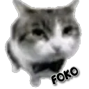 𝐹𝑜𝑘𝑜 𝐹𝑒𝑑𝑒𝑟𝑎𝑡𝑖𝑜𝑛 🎄