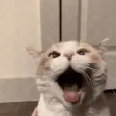 Sweloh