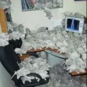 Mouse house zerbal 4 Banner