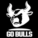 Go Bulls