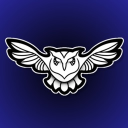 Discovery icon for THE OWLS ESPORTS COMMUNITY Discord server
