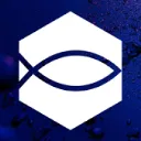 METAFISK NFT