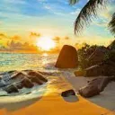 Paradise Leaks 2.0