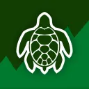 turtle traders