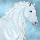Mount Olympia Equine