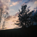 Redwood University || Monster RP Discord server icon