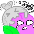 筱秋的動物園