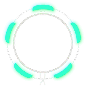 FRAG OUT, Avatar Decoration