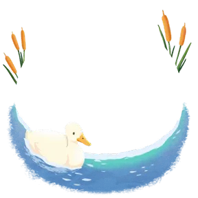 a duck, Avatar Decoration
