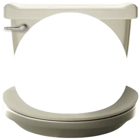 Skibidi Toilet, Avatar Decoration