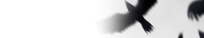 Nevermore, Nameplate