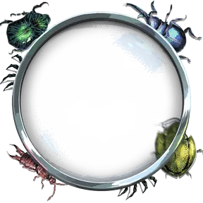 Bug Reveal, Avatar Decoration