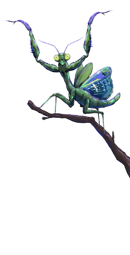 Praying Mantis, Profile Effect