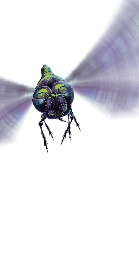 Dragonfly, Profile Effect