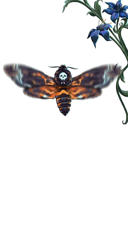 Death's-Head Hawkmoth, Profile Effect