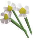 Lucky White Flower 1-4k role icon