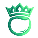 Management role icon
