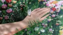 Growing Garden Discord server banner