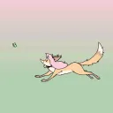 🦊 Miss's taphouse ~ splash