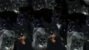 🐈 croaky's catwalk 🐈 splash