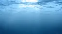 splash