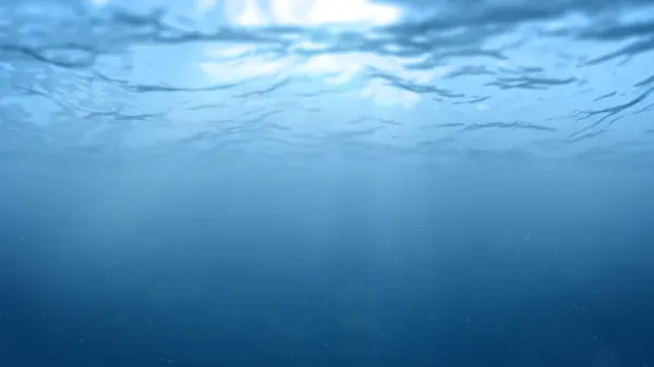 splash