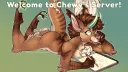 Chewy's Nest splash