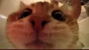 Obsession Possession 18+ Discord server banner
