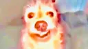 The Attic Discord server banner