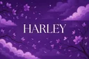 𝐨𝐯𝐞𝐫𝐝𝐨𝐬𝐞 Discord server banner