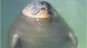 splash