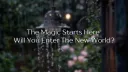 Maplewood Roleplay Server splash