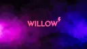 willow's server splash