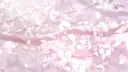 𝑪𝒖𝒑𝒊𝒅'𝒔 𝑯𝒂𝒗𝒆𝒏 💘 splash