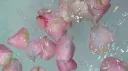 splash