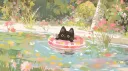 splash